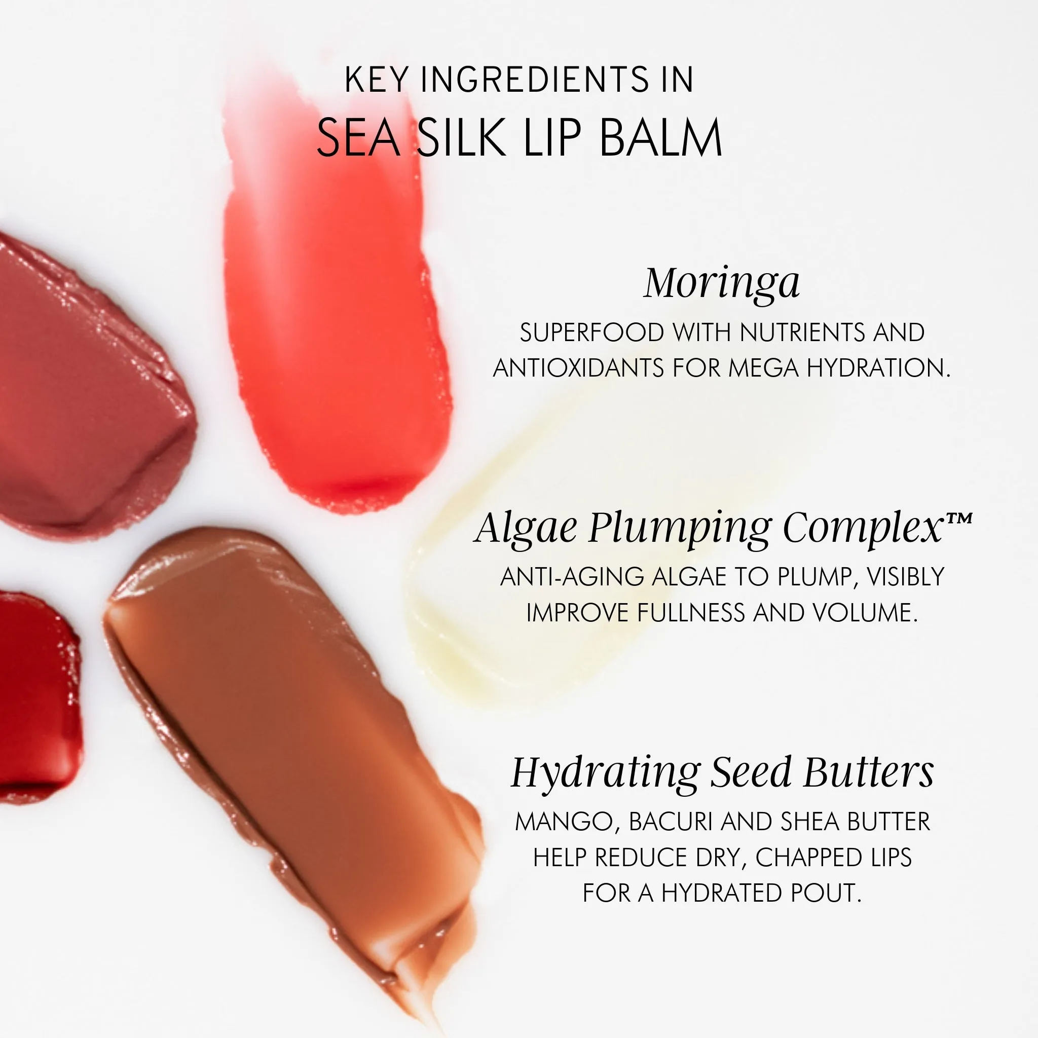 Algae   Moringa Sea Silk Lip Balm