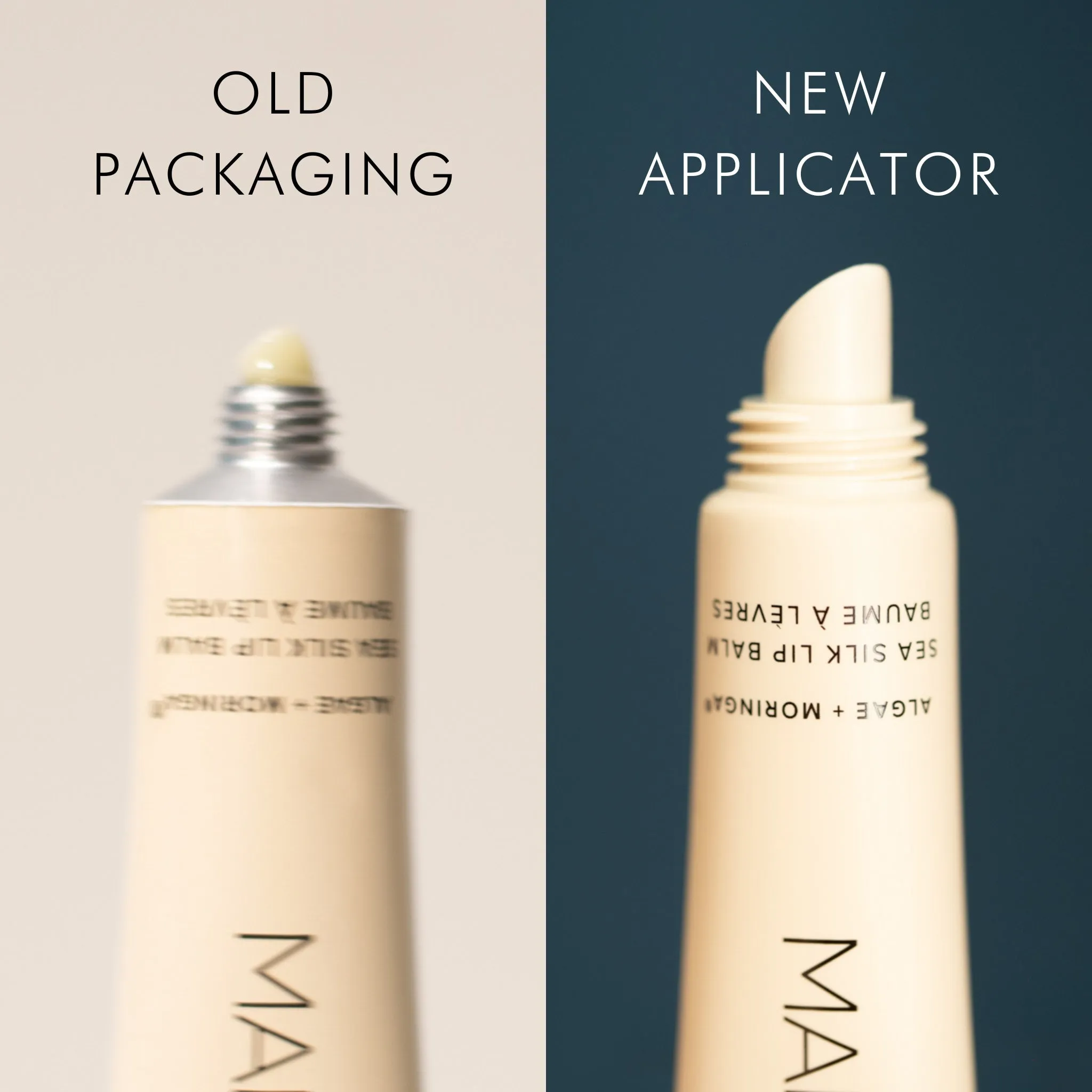 Algae   Moringa Sea Silk Lip Balm