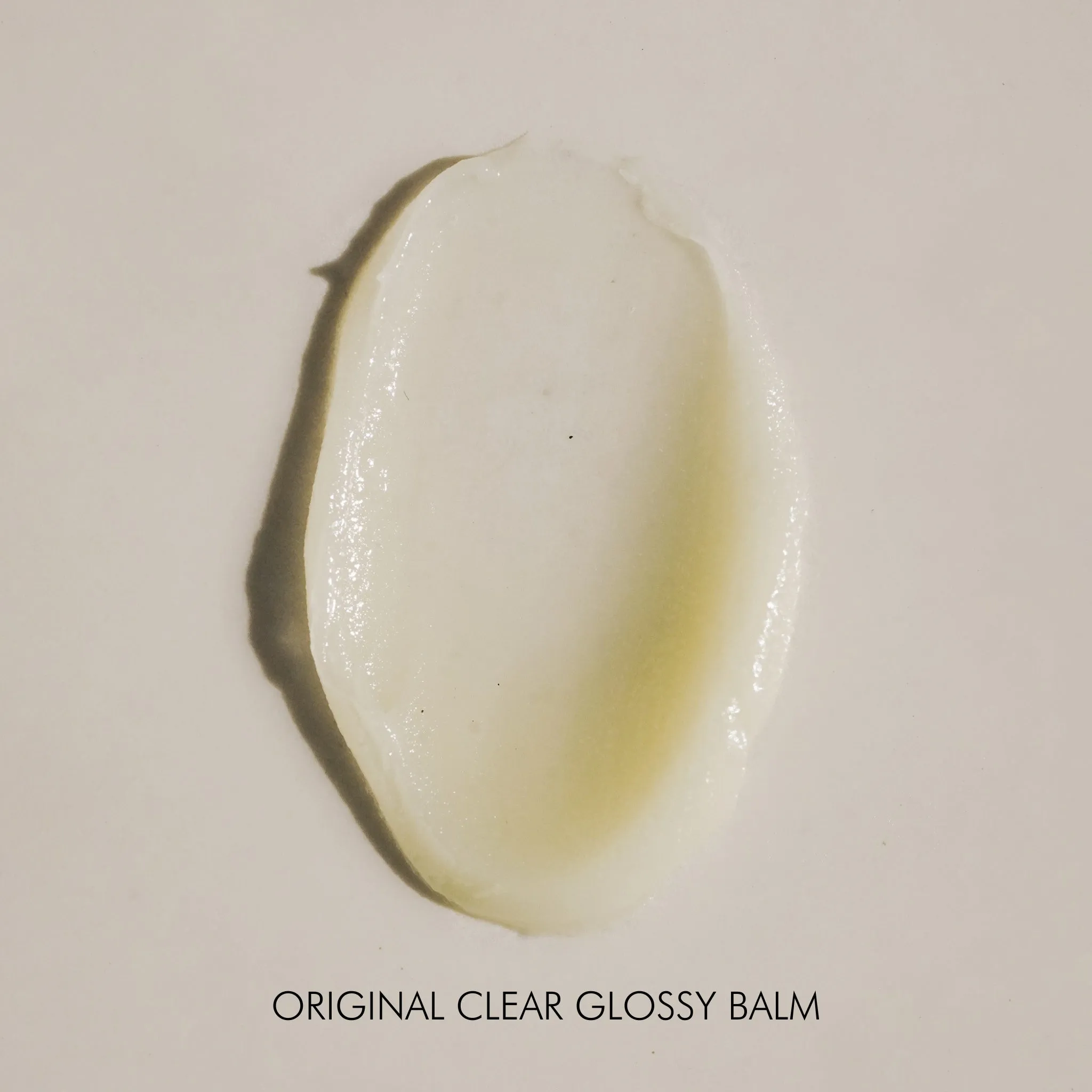 Algae   Moringa Sea Silk Lip Balm
