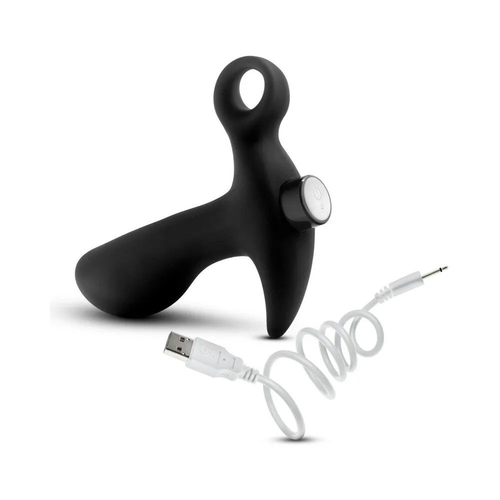 Anal Adventures Platinum Silicone Rechargeable Vibrating Prostate Massager 01