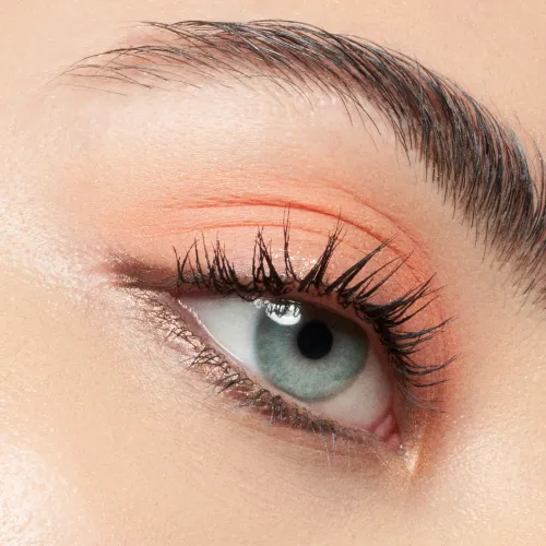 Colour & Fix Brow Gel Mascara