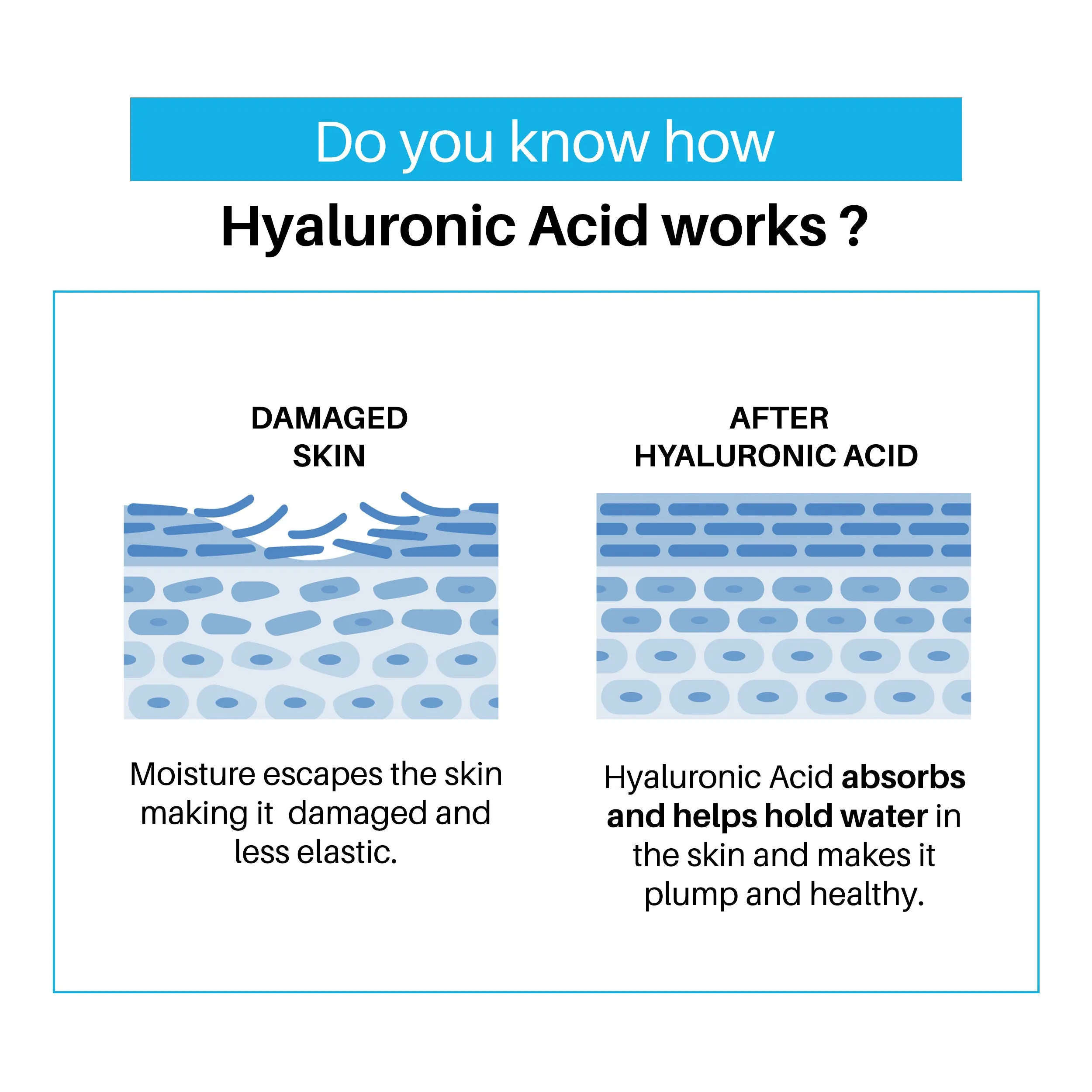 DermDoc 2% Pure Hyaluronic Acid Face Serum (15 ml) | ultra hydrating , face serum for dry skin , hyaluronic acid serum , hydrating serum , hyloronic acid serum , hydrating face serum , dry skin serum , serum , face serum