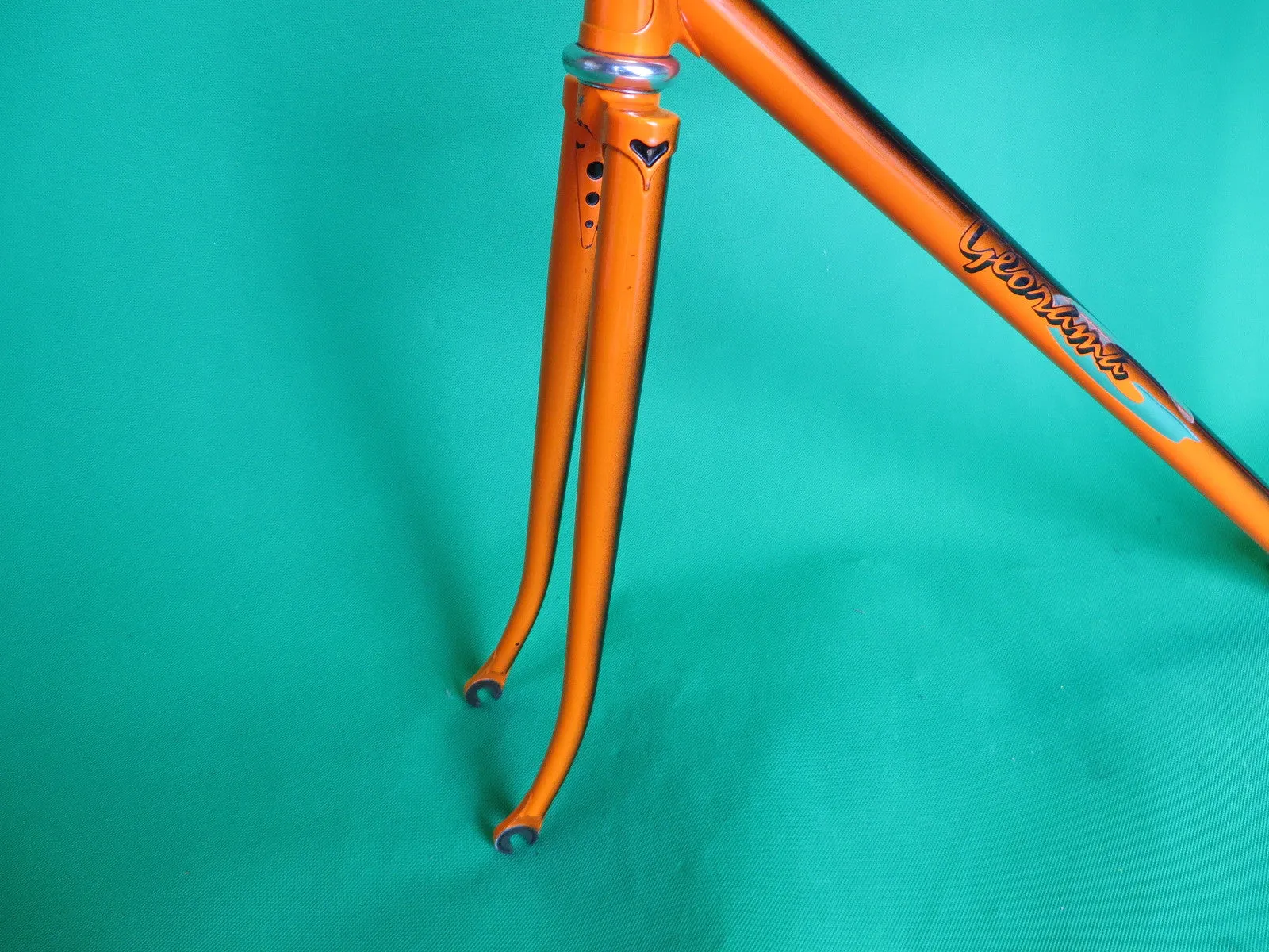 GEORAMA | black/orange fade | 52cm