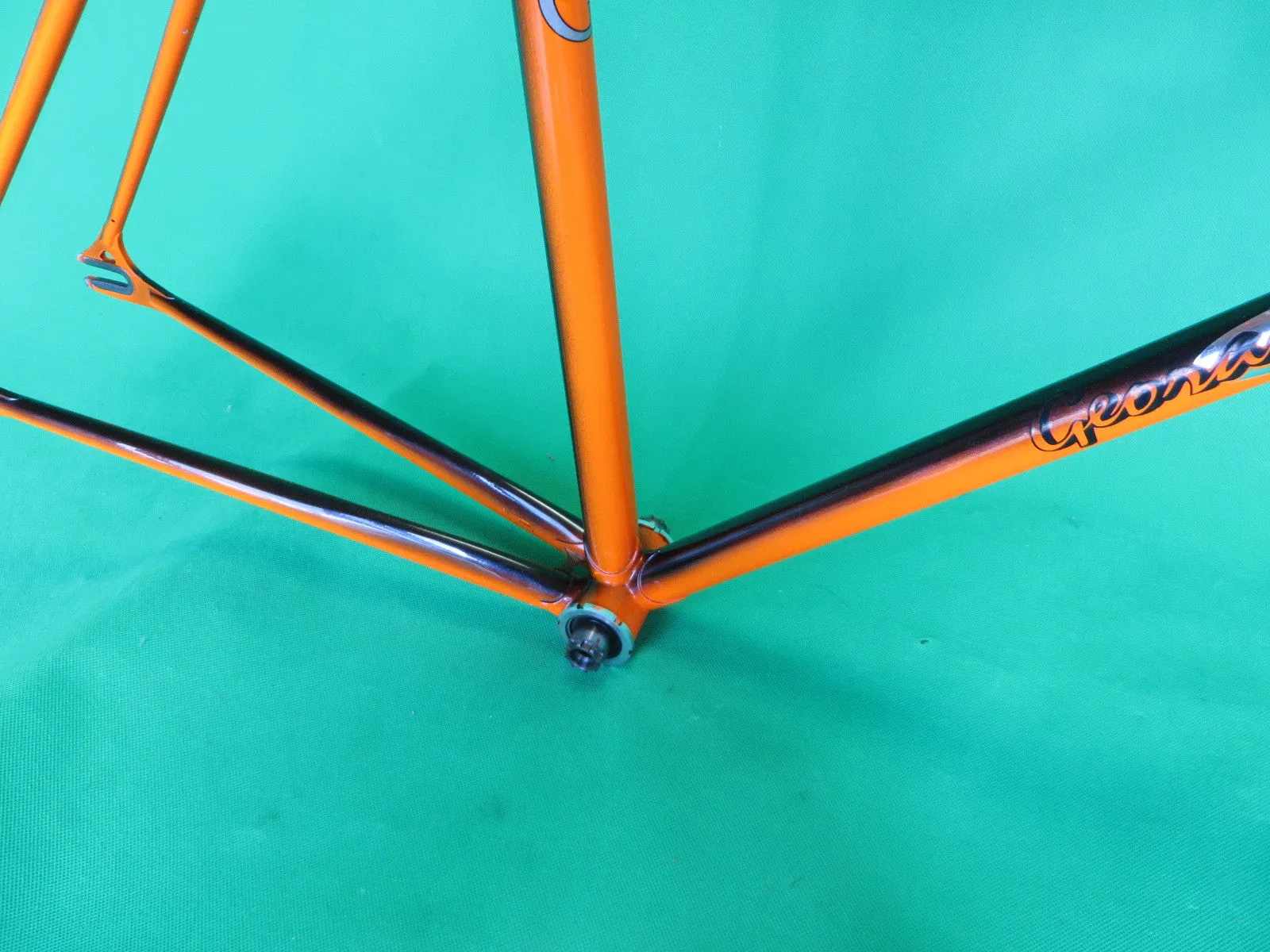 GEORAMA | black/orange fade | 52cm