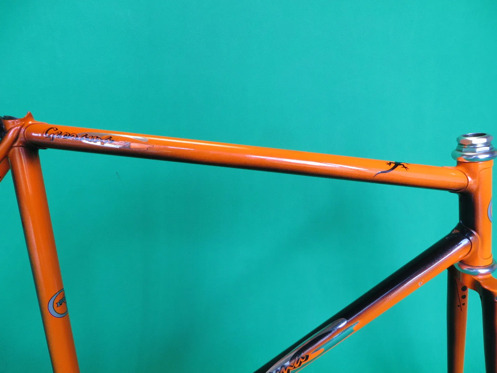 GEORAMA | black/orange fade | 52cm