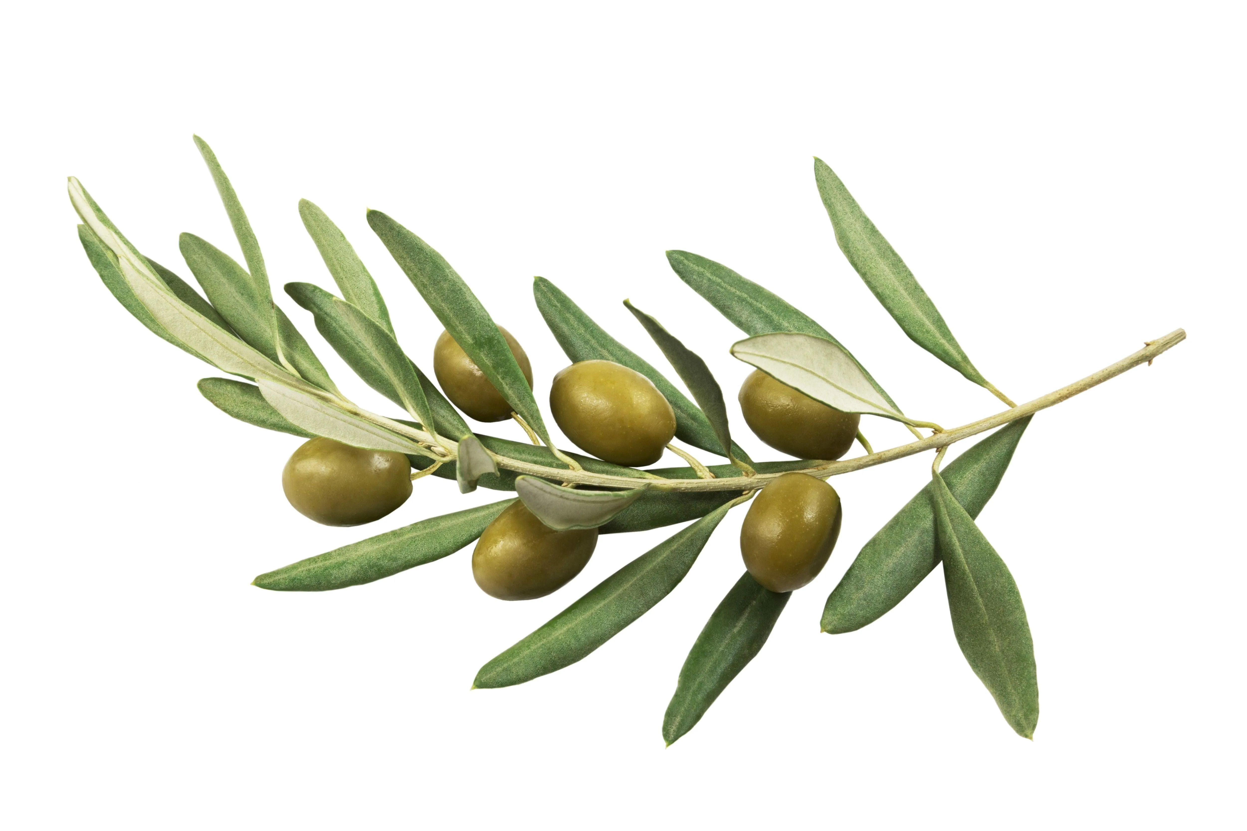 Kaolin & Olive Facial Wash